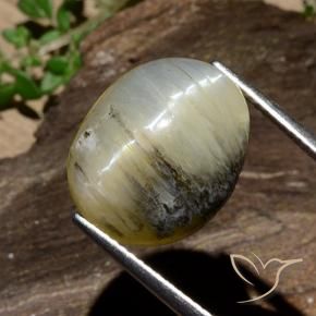Opale Occhio di Gatto Giallo brunastro naturale da 11.91 ct, Ovale, Opaco