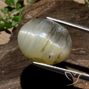 Opale Occhio di Gatto Giallo brunastro naturale da 11.91 ct, Ovale, Opaco