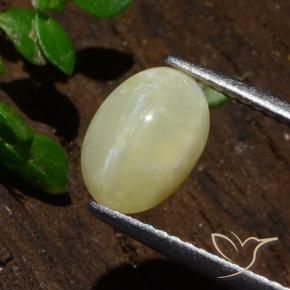 Opale Occhio di Gatto Giallo medio-chiaro naturale da 1.80 ct, Ovale, Traslucido