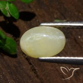 Opale Occhio di Gatto Giallo medio-chiaro naturale da 1.80 ct, Ovale, Traslucido