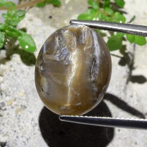 Opale Occhio di Gatto Marrone chiaro naturale da 12.43 ct, Taglio ovale, Opaco