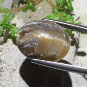 Opale Occhio di Gatto Marrone chiaro naturale da 12.43 ct, Taglio ovale, Opaco