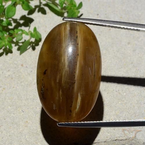 26.12ct Naturale marrone pecan Opale Occhio di Gatto, Ovale, Traslucido