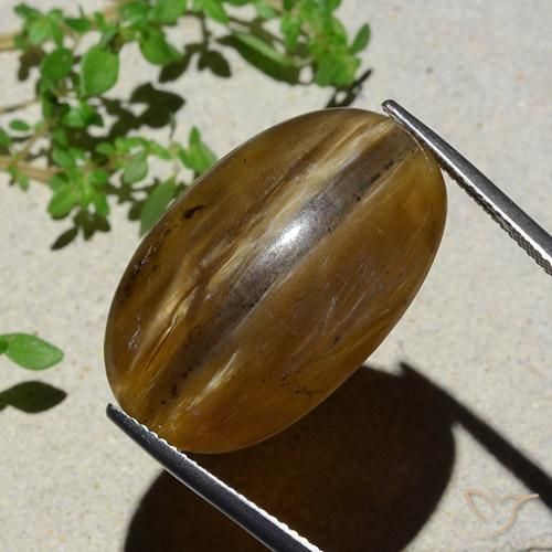 Opale Occhio di Gatto marrone pecan naturale da 26.12 ct, Ovale, Traslucido