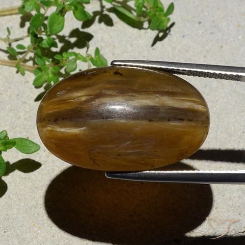 Opale Occhio di Gatto marrone pecan naturale da 26.12 ct, Ovale, Traslucido
