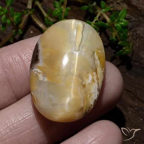 31.48ct Naturale Multicolore Opale Occhio di Gatto, Ovale, Opaco