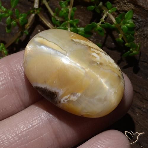 Opale Occhio di Gatto Multicolore naturale da 31.48 ct, Ovale, Opaco