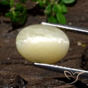 Opale Occhio di Gatto Caldo bianco sporco naturale da 3.68 ct, Ovale, Opaco