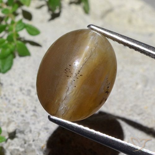 5.89ct Naturale Marrone medio Opale Occhio di Gatto, Ovale, Traslucido