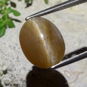 Opale Occhio di Gatto Marrone medio naturale da 5.89 ct, Ovale, Traslucido