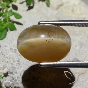 Opale Occhio di Gatto Marrone medio naturale da 5.89 ct, Ovale, Traslucido