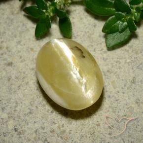 Opale Occhio di Gatto Giallo crema naturale da 3.65 ct, Ovale, Opaco