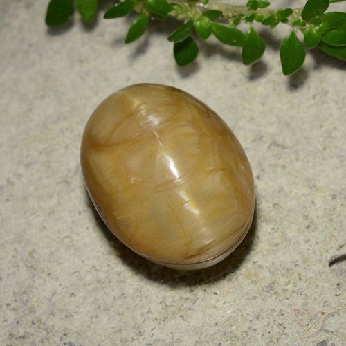 5.46ct Naturale Dorato Opale Occhio di Gatto, Ovale, Opaco