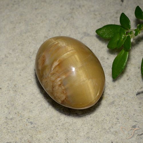 4.57ct Naturale Oro medio Opale Occhio di Gatto, Ovale, Opaco