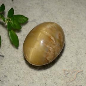 Opale Occhio di Gatto Oro medio naturale da 4.57 ct, Ovale, Opaco