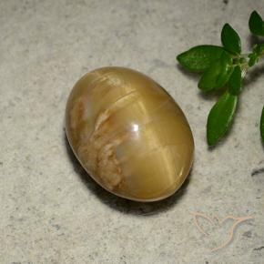 Opale Occhio di Gatto Oro medio naturale da 4.57 ct, Ovale, Opaco