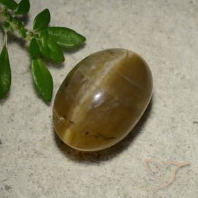 Opale Occhio di Gatto Marrone dorato naturale da 4.65 ct, Ovale, Traslucido