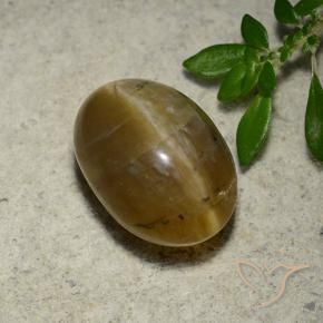 Opale Occhio di Gatto Marrone dorato naturale da 4.65 ct, Ovale, Traslucido