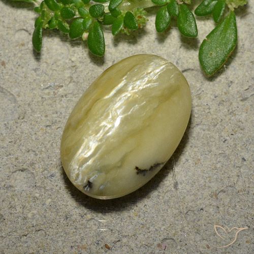 5.04ct Naturale Giallo banana Opale Occhio di Gatto, Ovale, Opaco