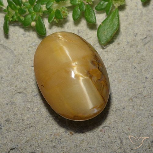 6.31ct Naturale Marrone dorato Opale Occhio di Gatto, Ovale, Opaco