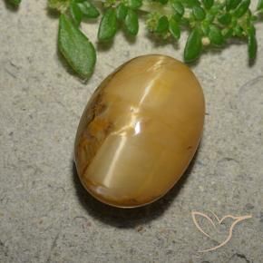 Opale Occhio di Gatto Marrone dorato naturale da 6.31 ct, Ovale, Opaco
