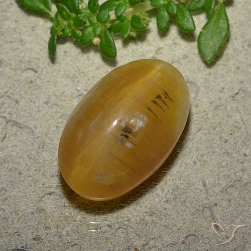 7.03ct Naturale Marrone dorato Opale Occhio di Gatto, Ovale, Traslucido