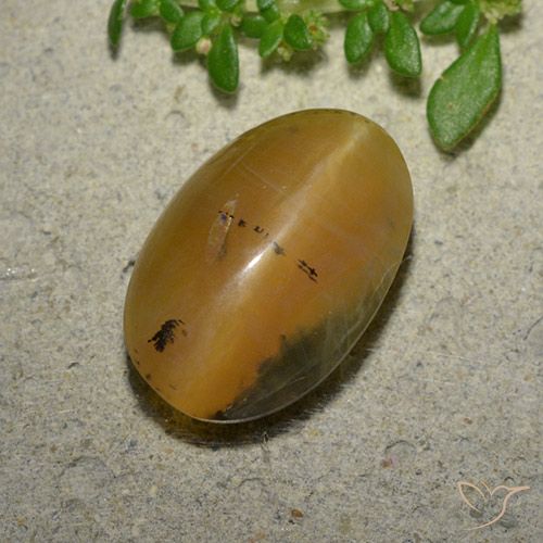 6.14ct Naturale Marrone dorato Opale Occhio di Gatto, Ovale, Traslucido