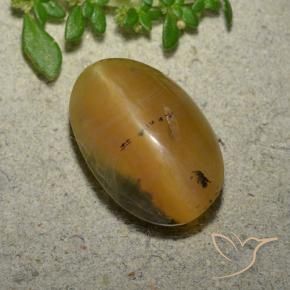 Opale Occhio di Gatto Marrone dorato naturale da 6.14 ct, Ovale, Traslucido