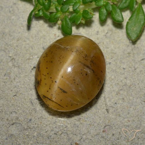 Opale Occhio di Gatto Marrone dorato naturale da 3.94 ct, Ovale, Traslucido
