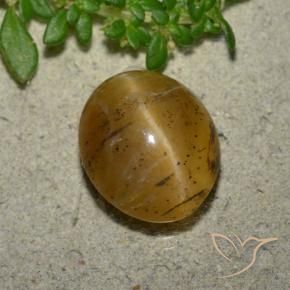 Opale Occhio di Gatto Marrone dorato naturale da 3.94 ct, Ovale, Traslucido