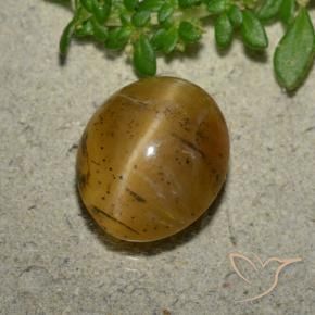 Opale Occhio di Gatto Marrone dorato naturale da 3.94 ct, Ovale, Traslucido