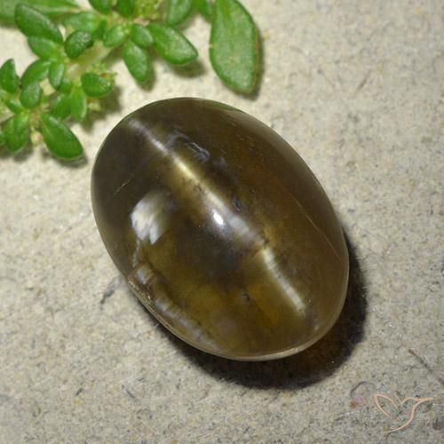 9.59ct Naturale Marrone medio-scuro Opale Occhio di Gatto, Ovale, Traslucido