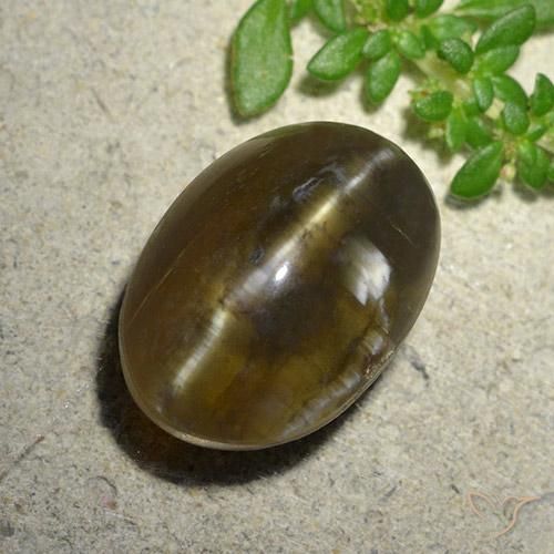 Opale Occhio di Gatto Marrone medio-scuro naturale da 9.59 ct, Ovale, Traslucido