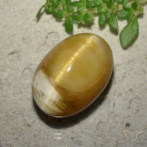 10.46ct Naturale Dorato Opale Occhio di Gatto, Ovale, Opaco