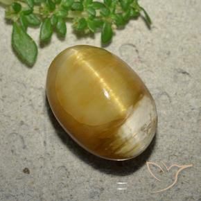 Opale Occhio di Gatto Dorato naturale da 10.46 ct, Ovale, Opaco
