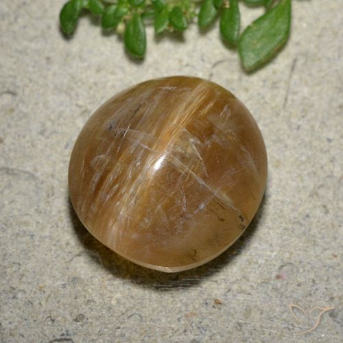 8.17ct Naturale Marrone terroso Opale Occhio di Gatto, Ovale, Traslucido