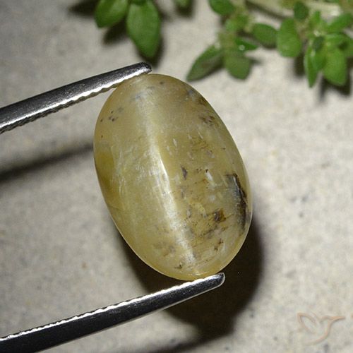 7.86ct Naturale Giallo medio Opale Occhio di Gatto, Ovale, Traslucido
