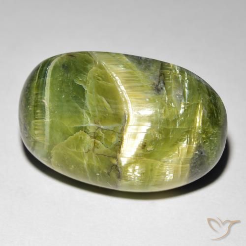 16.99ct Naturale Verde giallastro Opale Occhio di Gatto, Ovale, Opaco