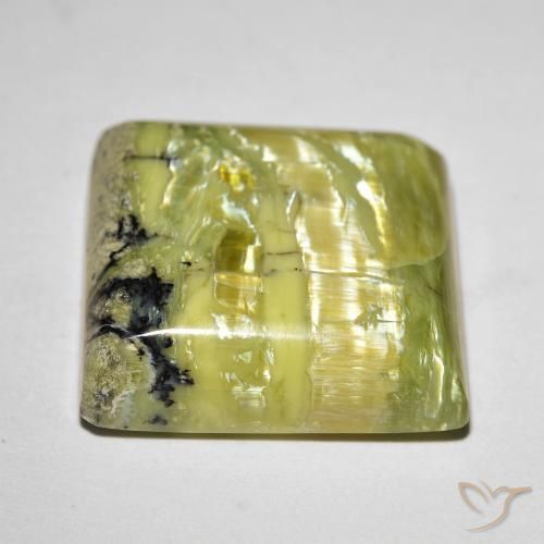 Opale Occhio di Gatto Verde medio naturale da 18.31 ct, Quadrato, Opaco