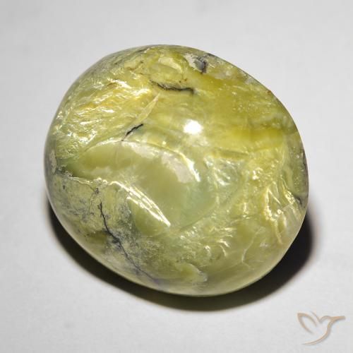 Opale Occhio di Gatto Verde caldo naturale da 18.56 ct, Ovale, Opaco