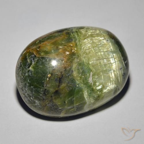 Opale Occhio di Gatto Verde terroso naturale da 18.89 ct, Ovale, Opaco