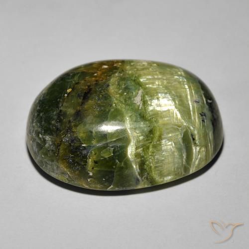 Opale Occhio di Gatto Verde terroso naturale da 18.89 ct, Ovale, Opaco