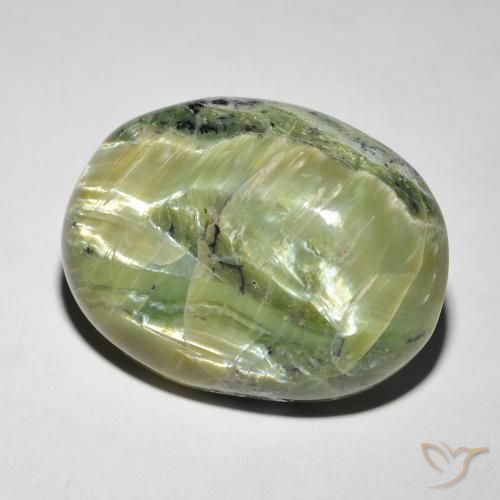 Opale Occhio di Gatto Verde giallastro naturale da 14.58 ct, Ovale, Opaco