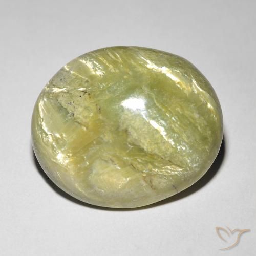 9.84ct Naturale Caldo bosco verde Opale Occhio di Gatto, Ovale, Opaco