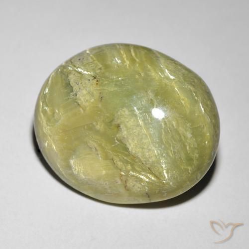 Opale Occhio di Gatto Caldo bosco verde naturale da 9.84 ct, Ovale, Opaco