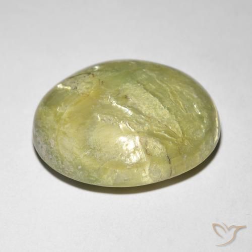 Opale Occhio di Gatto Caldo bosco verde naturale da 9.84 ct, Ovale, Opaco