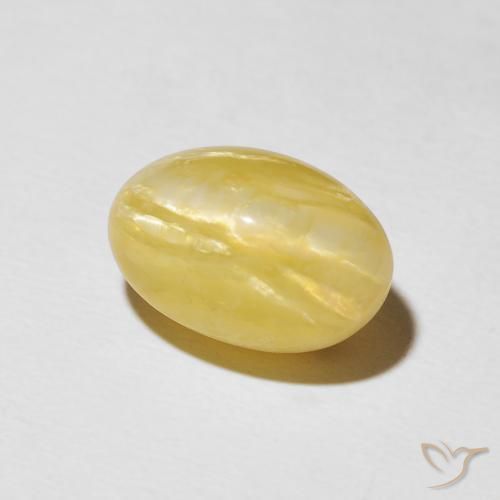 Opale Occhio di Gatto Giallo Toscana naturale da 5.44 ct, Ovale, Opaco