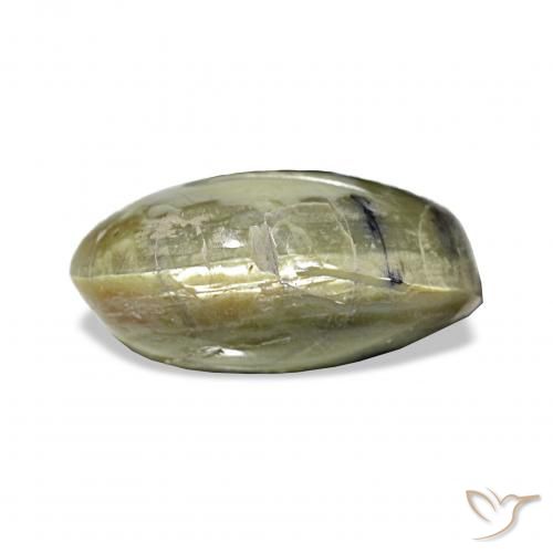 3.02ct Verde giallastro Opale Occhio di Gatto, Ovale, Opaco