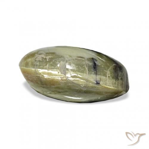 Opale Occhio di Gatto Verde giallastro naturale da 3.02 ct, Ovale, Opaco