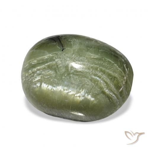 Opale Occhio di Gatto Verde giallastro naturale da 2.64 ct, Ovale, Opaco